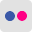 Flickr Icon